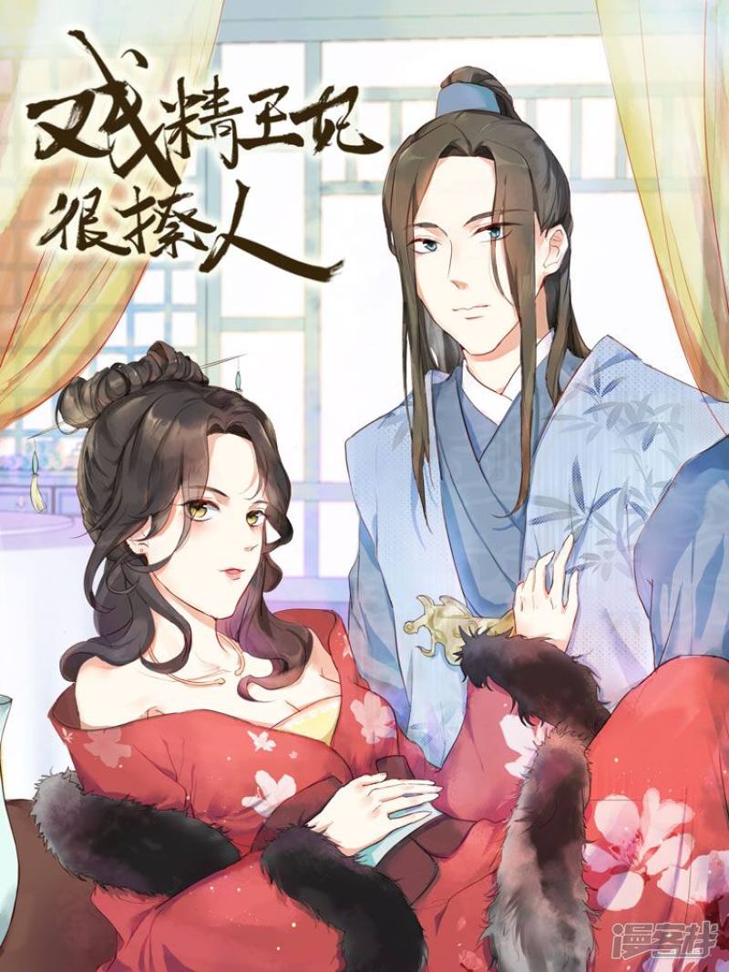 戏精王妃很撩人