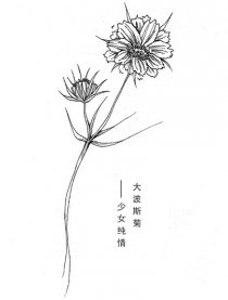 时人的头发与秘密