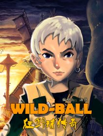 狂野球传奇