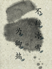 不辞冰雪为卿热