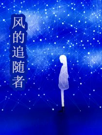 风的追随者