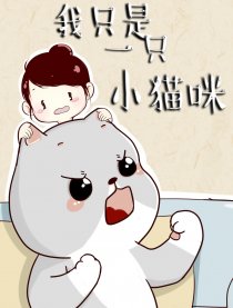 我只是一只小猫咪