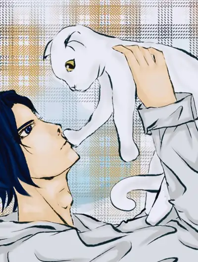 闪瞎了我的猫猫眼