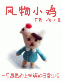 风物小鸡