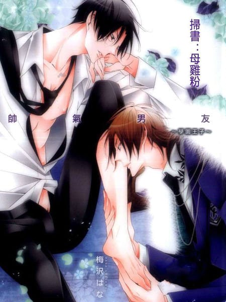 帅气男友 学园王子