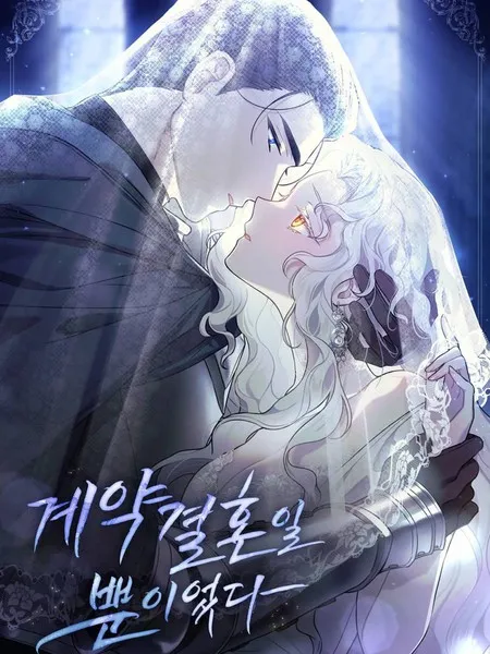 只是契约婚姻而已