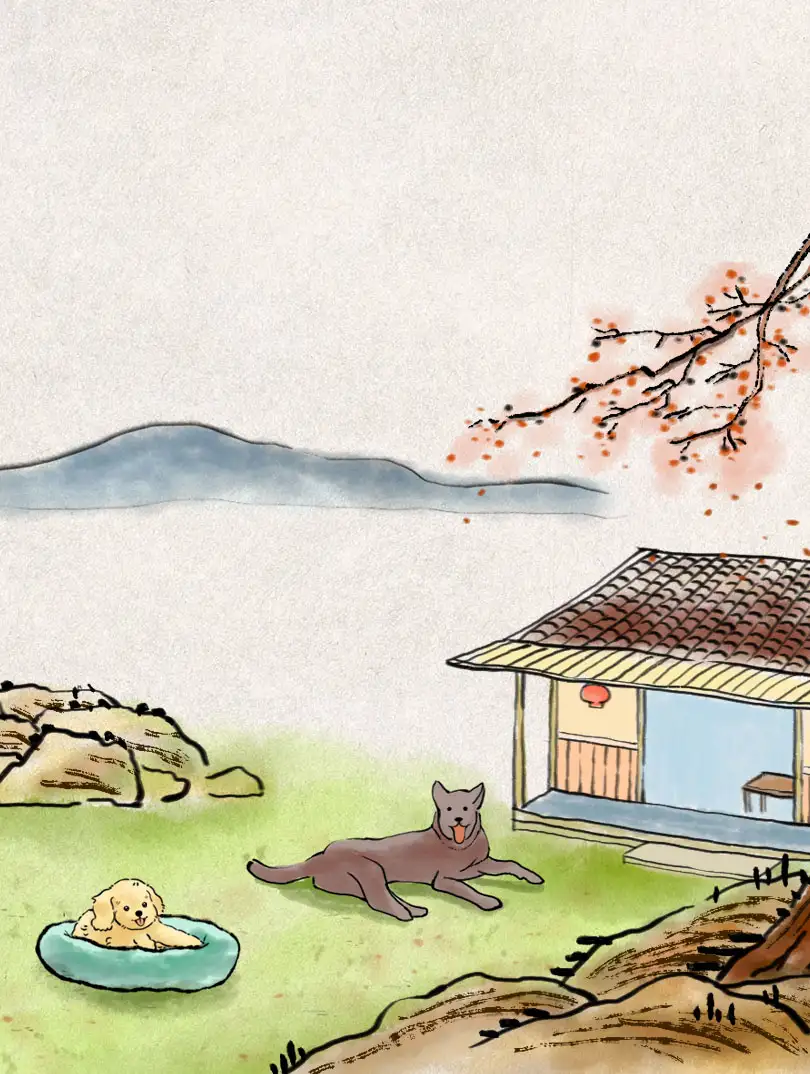 万物有灵之萌宠系列